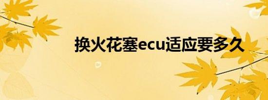 换火花塞ecu适应要多久