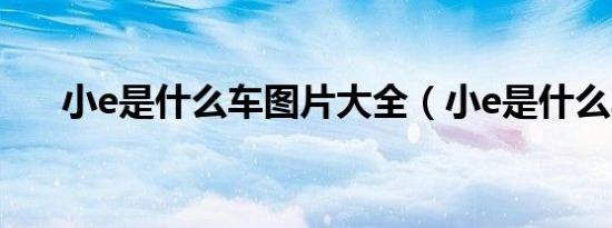 小e是什么车图片大全（小e是什么车）
