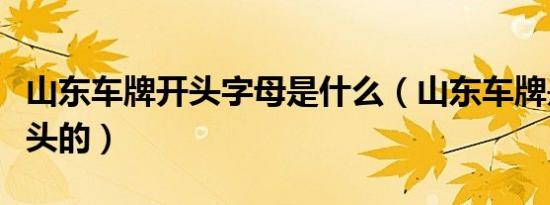 山东车牌开头字母是什么（山东车牌是什么开头的）