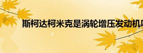 斯柯达柯米克是涡轮增压发动机吗