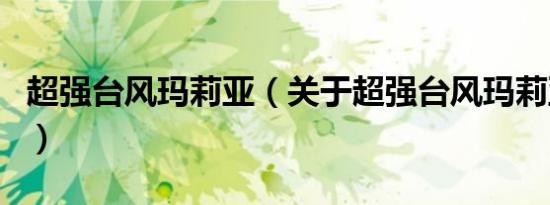 超强台风玛莉亚（关于超强台风玛莉亚的介绍）