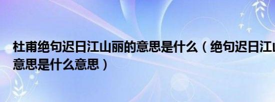 杜甫绝句迟日江山丽的意思是什么（绝句迟日江山丽古诗的意思是什么意思）