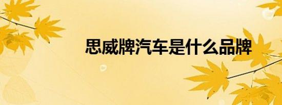 思威牌汽车是什么品牌