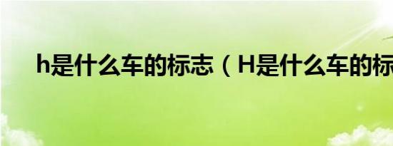 h是什么车的标志（H是什么车的标志）