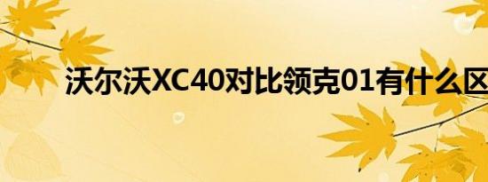 沃尔沃XC40对比领克01有什么区别