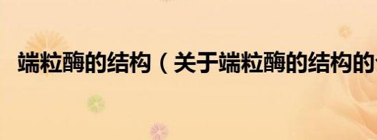 端粒酶的结构（关于端粒酶的结构的介绍）