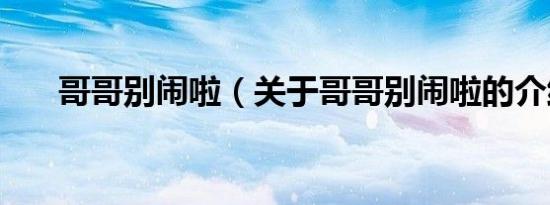 哥哥别闹啦（关于哥哥别闹啦的介绍）