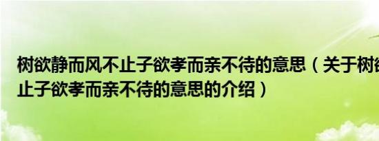 树欲静而风不止子欲孝而亲不待的意思（关于树欲静而风不止子欲孝而亲不待的意思的介绍）