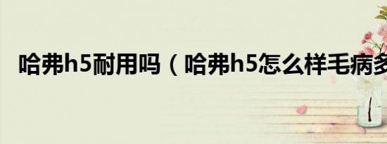 哈弗h5耐用吗（哈弗h5怎么样毛病多吗?）