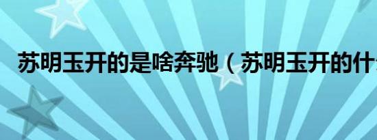 苏明玉开的是啥奔驰（苏明玉开的什么车）