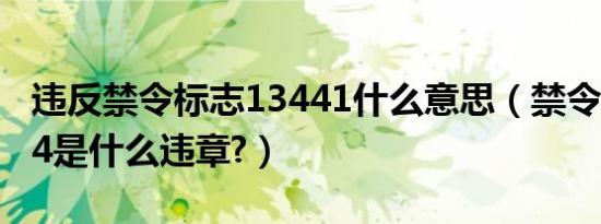 违反禁令标志13441什么意思（禁令标志1344是什么违章?）