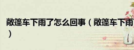 敞篷车下雨了怎么回事（敞篷车下雨了怎么办）