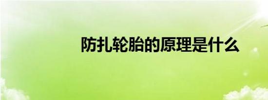 防扎轮胎的原理是什么