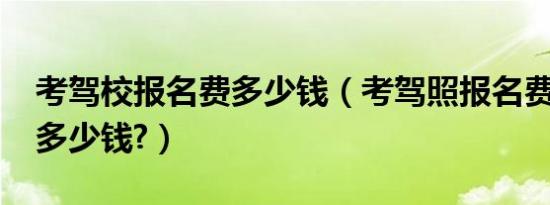考驾校报名费多少钱（考驾照报名费2019年多少钱?）