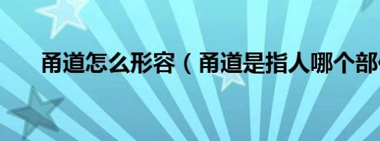 甬道怎么形容（甬道是指人哪个部位）