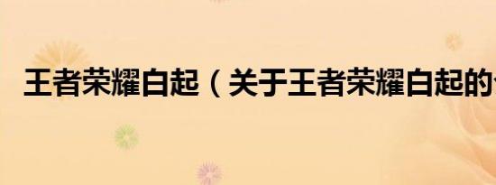 王者荣耀白起（关于王者荣耀白起的介绍）