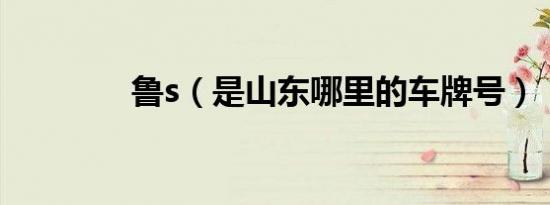 鲁s（是山东哪里的车牌号）