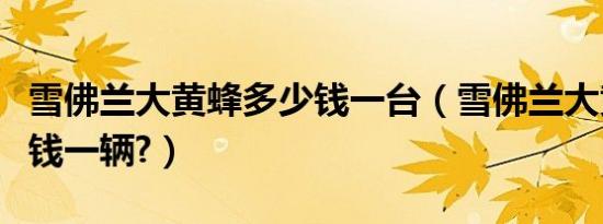 雪佛兰大黄蜂多少钱一台（雪佛兰大黄蜂多少钱一辆?）