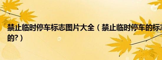 禁止临时停车标志图片大全（禁止临时停车的标志是什么样的?）