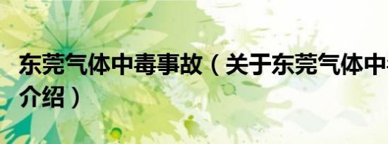东莞气体中毒事故（关于东莞气体中毒事故的介绍）