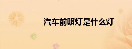 汽车前照灯是什么灯