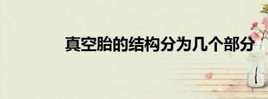 真空胎的结构分为几个部分