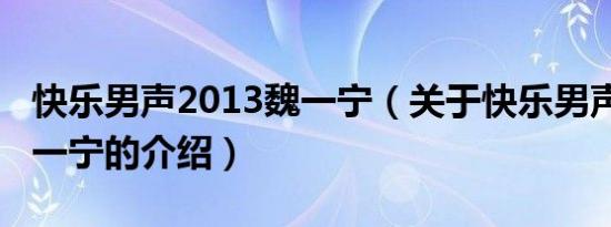 快乐男声2013魏一宁（关于快乐男声2013魏一宁的介绍）