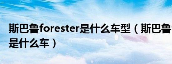 斯巴鲁forester是什么车型（斯巴鲁forester是什么车）