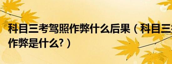 科目三考驾照作弊什么后果（科目三技巧考试作弊是什么?）
