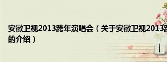 安徽卫视2013跨年演唱会（关于安徽卫视2013跨年演唱会的介绍）