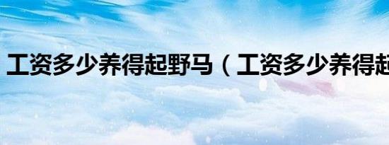 工资多少养得起野马（工资多少养得起野马）