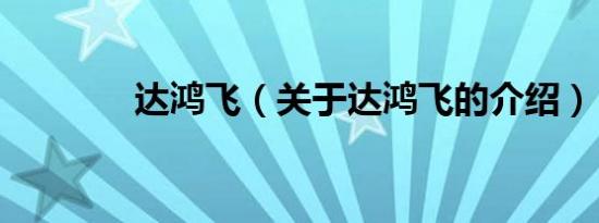 达鸿飞（关于达鸿飞的介绍）