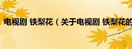 电视剧 铁梨花（关于电视剧 铁梨花的介绍）