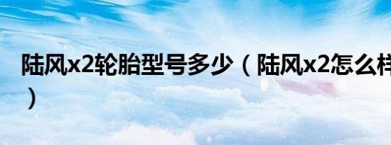 陆风x2轮胎型号多少（陆风x2怎么样优缺点?）