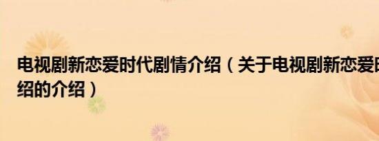 电视剧新恋爱时代剧情介绍（关于电视剧新恋爱时代剧情介绍的介绍）