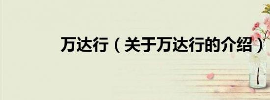 万达行（关于万达行的介绍）