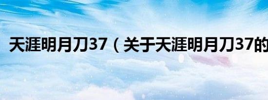 天涯明月刀37（关于天涯明月刀37的介绍）