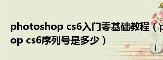 photoshop cs6入门零基础教程（photoshop cs6序列号是多少）
