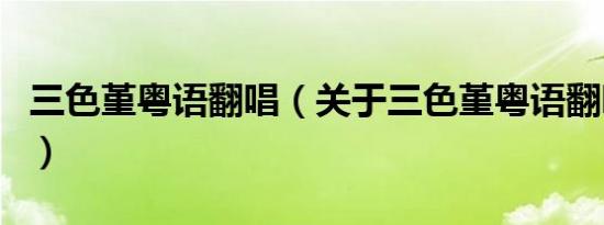 三色堇粤语翻唱（关于三色堇粤语翻唱的介绍）