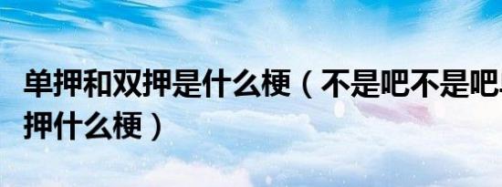单押和双押是什么梗（不是吧不是吧单押也算押什么梗）