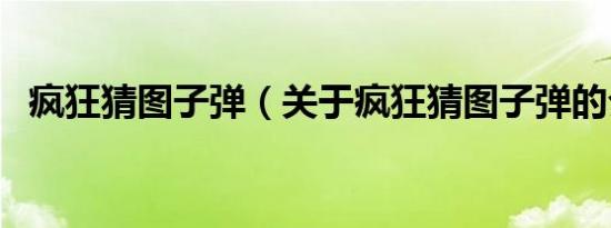 疯狂猜图子弹（关于疯狂猜图子弹的介绍）