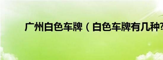 广州白色车牌（白色车牌有几种?）