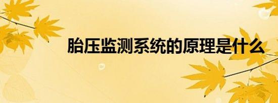 胎压监测系统的原理是什么