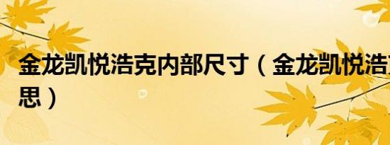 金龙凯悦浩克内部尺寸（金龙凯悦浩克什么意思）