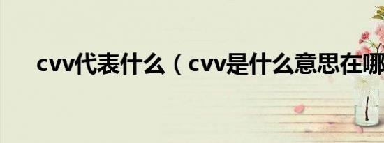 cvv代表什么（cvv是什么意思在哪里）