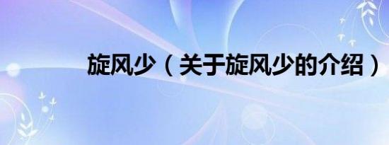 旋风少（关于旋风少的介绍）