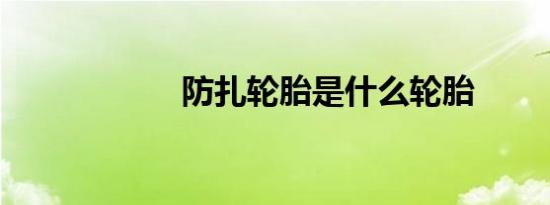 防扎轮胎是什么轮胎