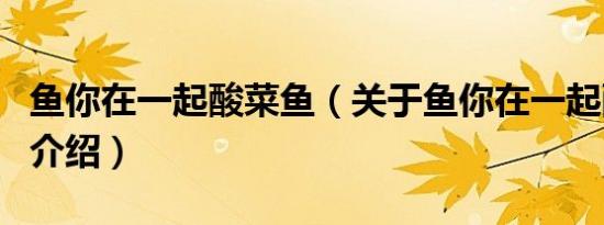 鱼你在一起酸菜鱼（关于鱼你在一起酸菜鱼的介绍）