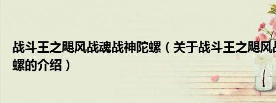 战斗王之飓风战魂战神陀螺（关于战斗王之飓风战魂战神陀螺的介绍）