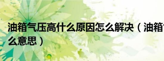 油箱气压高什么原因怎么解决（油箱气压高什么意思）